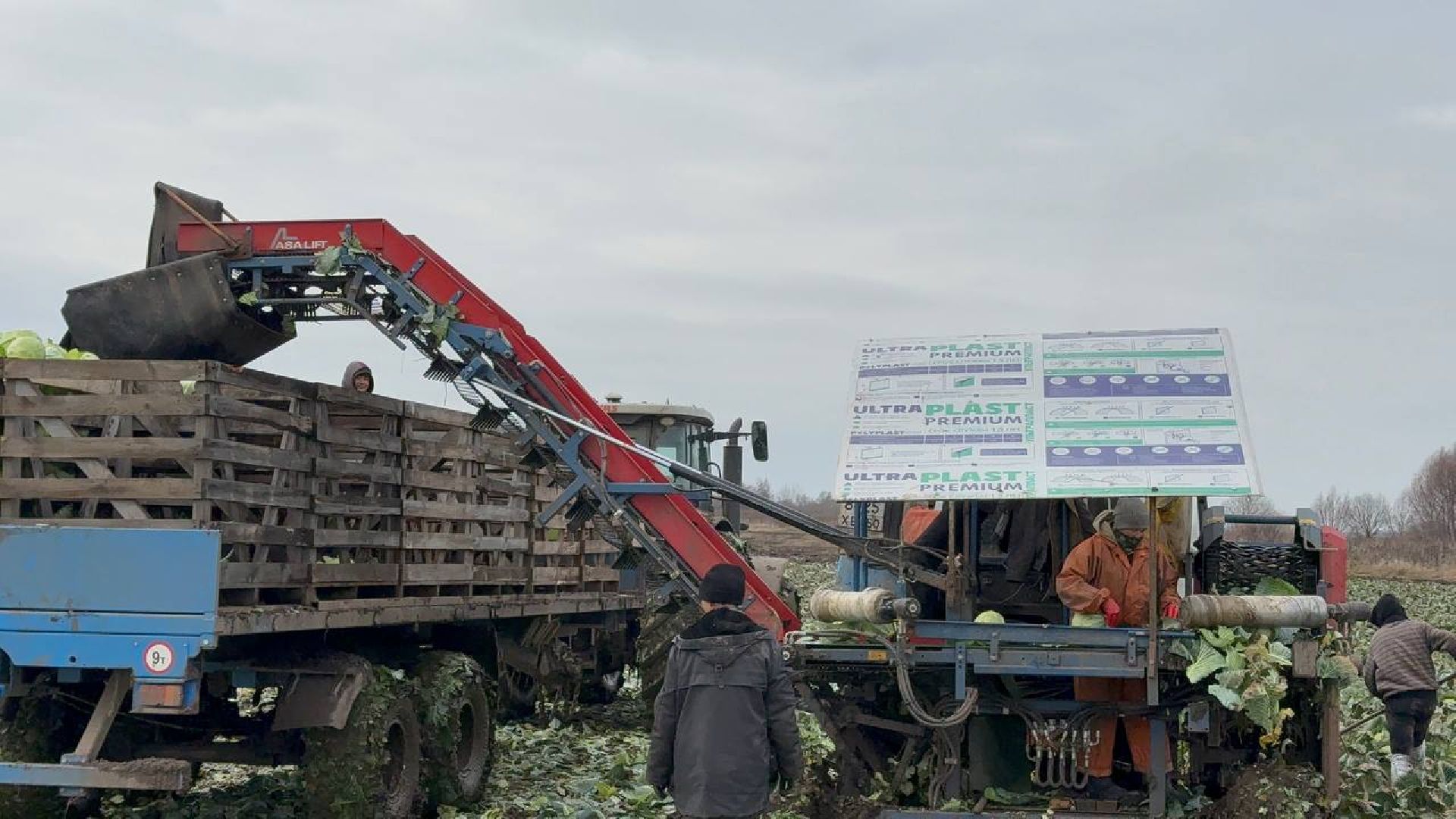 луховицы, сбор урожая, сельское хозяйство,