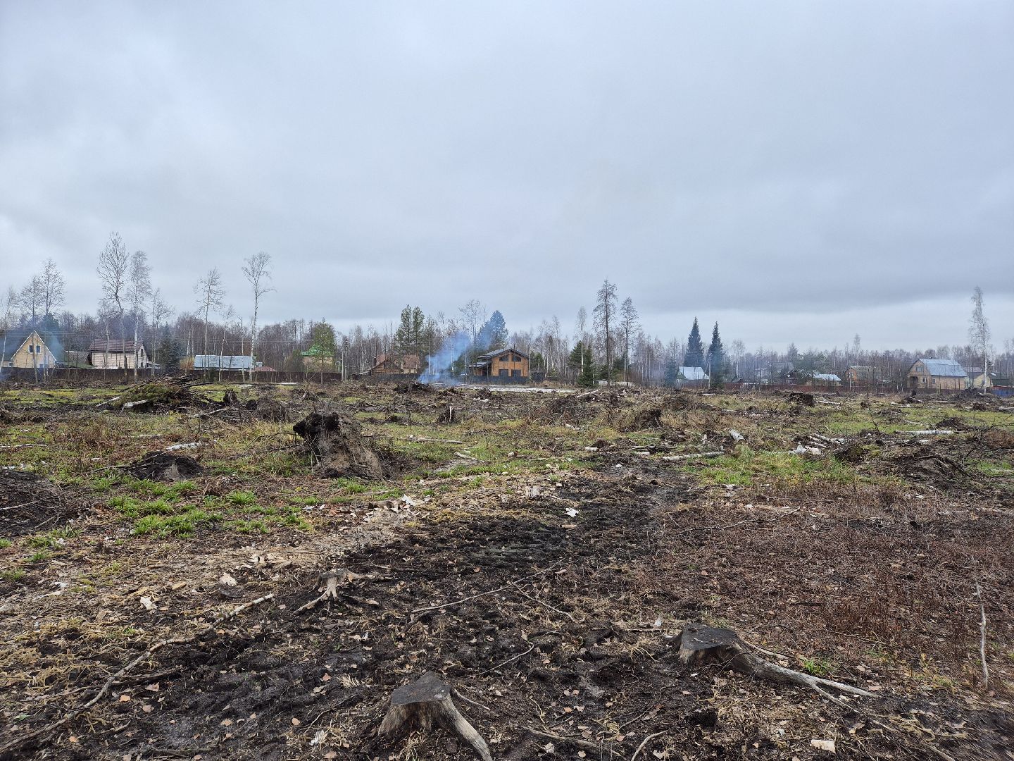 санитарная рубка леса, орехово-зуевский округ,
