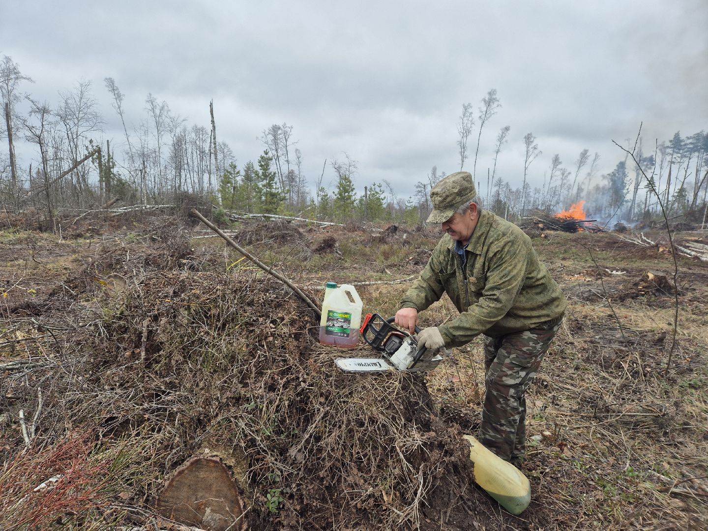 санитарная рубка леса, орехово-зуевский округ,