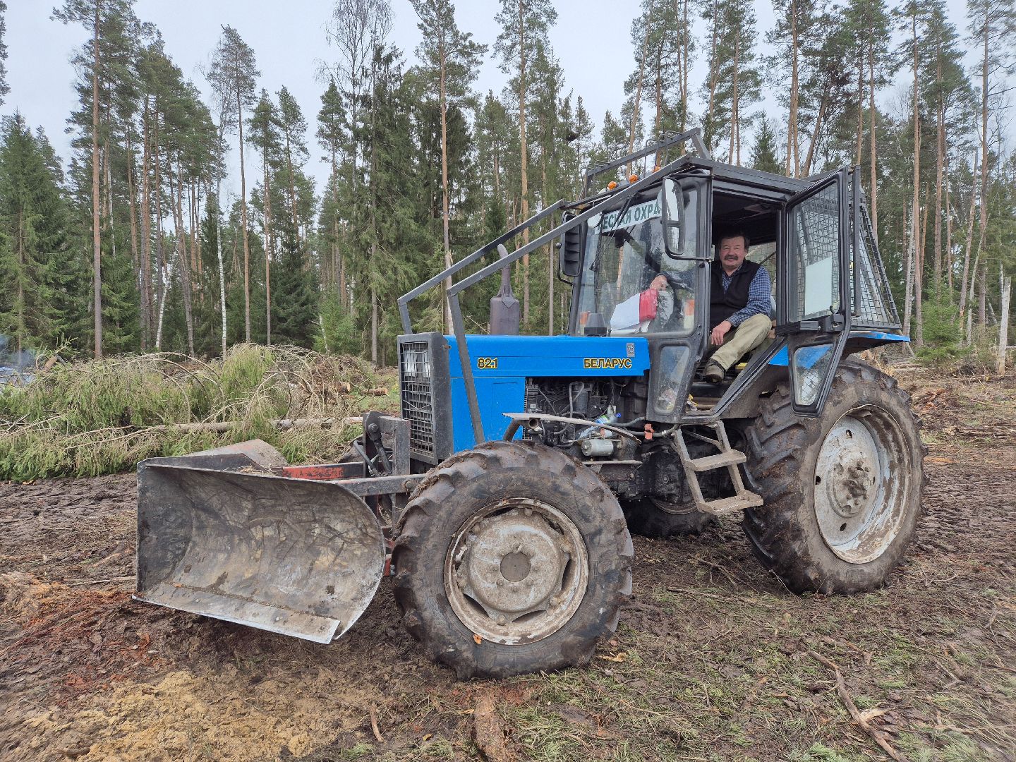 санитарная рубка леса, орехово-зуевский округ,