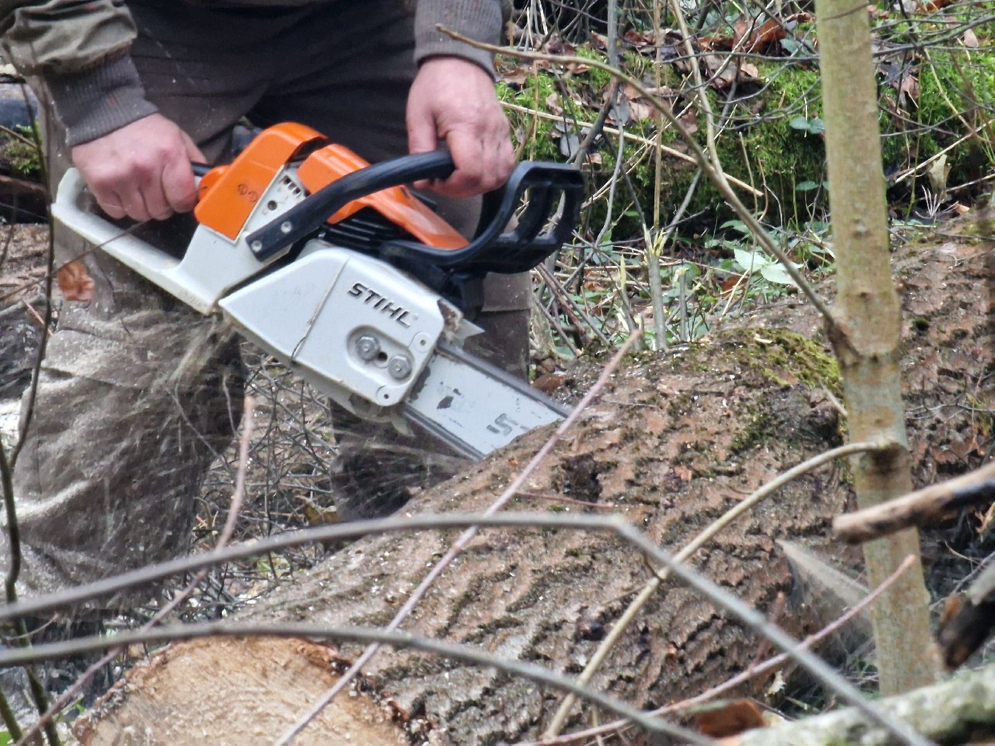 воскресенск, уборка леса,