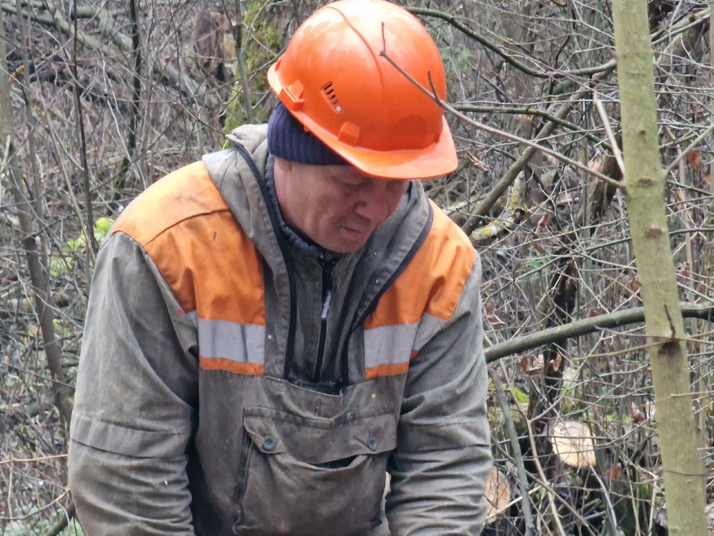 воскресенск, уборка леса,