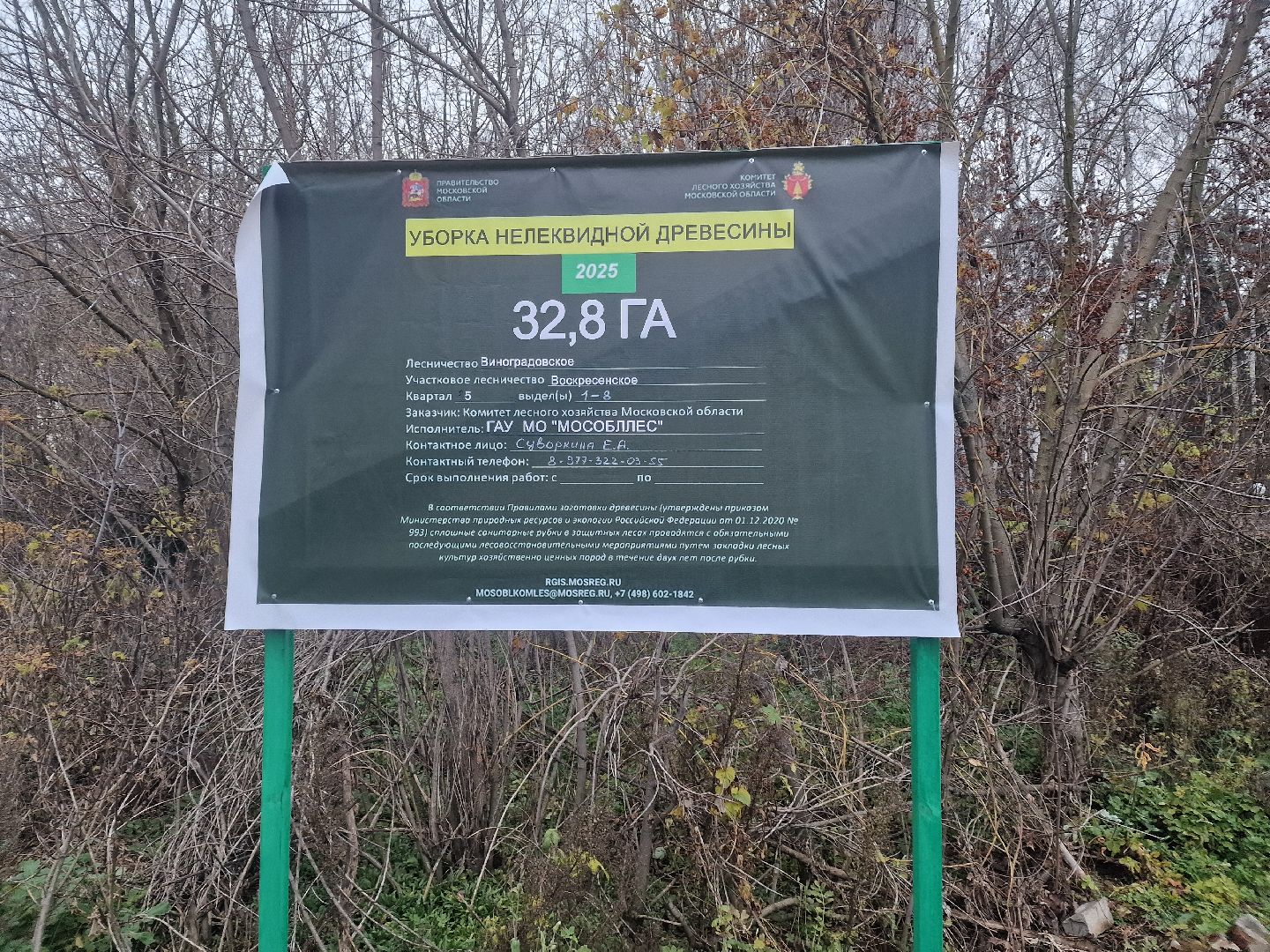 воскресенск, уборка леса,