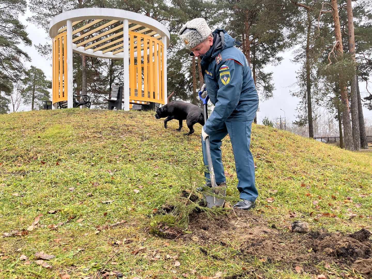 35 лет мчс, мчс россии 35 лет, рошаль мчс,