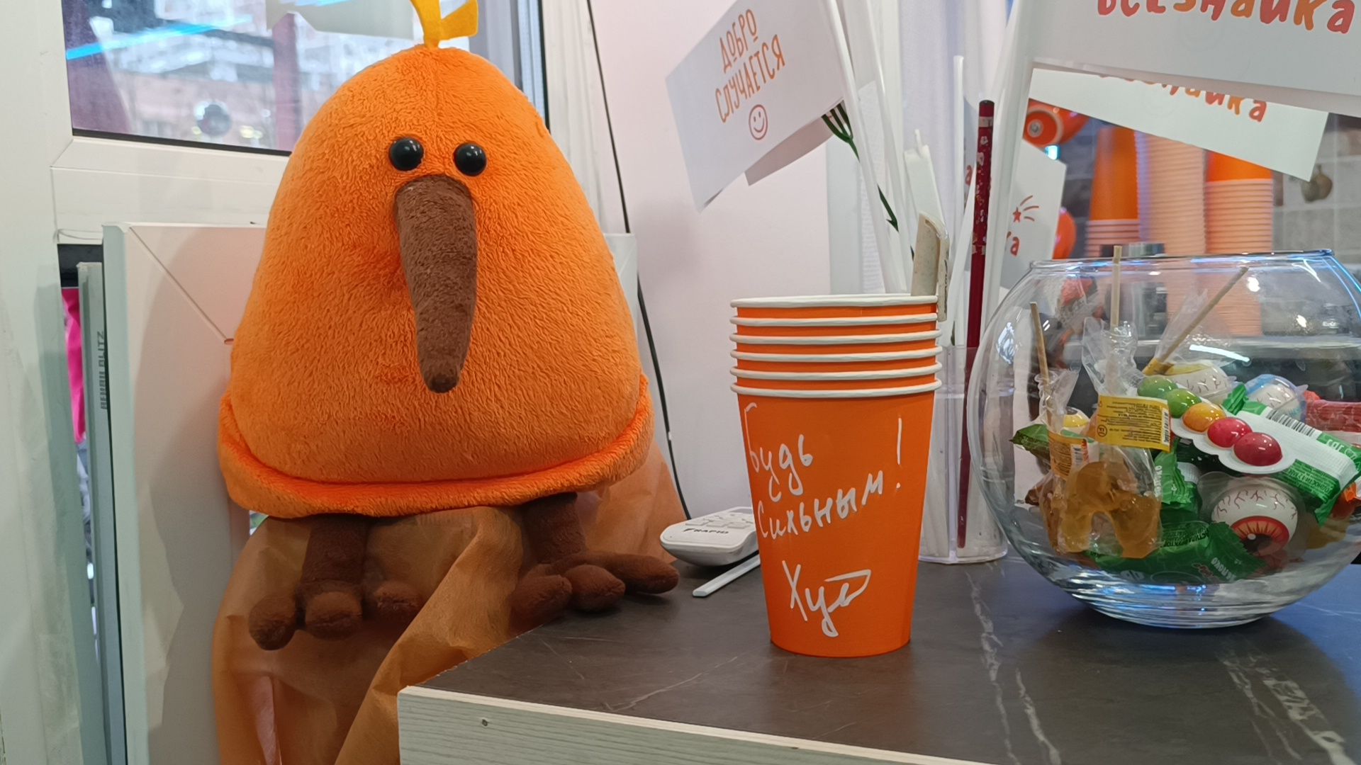 лобня, кофе, овз,