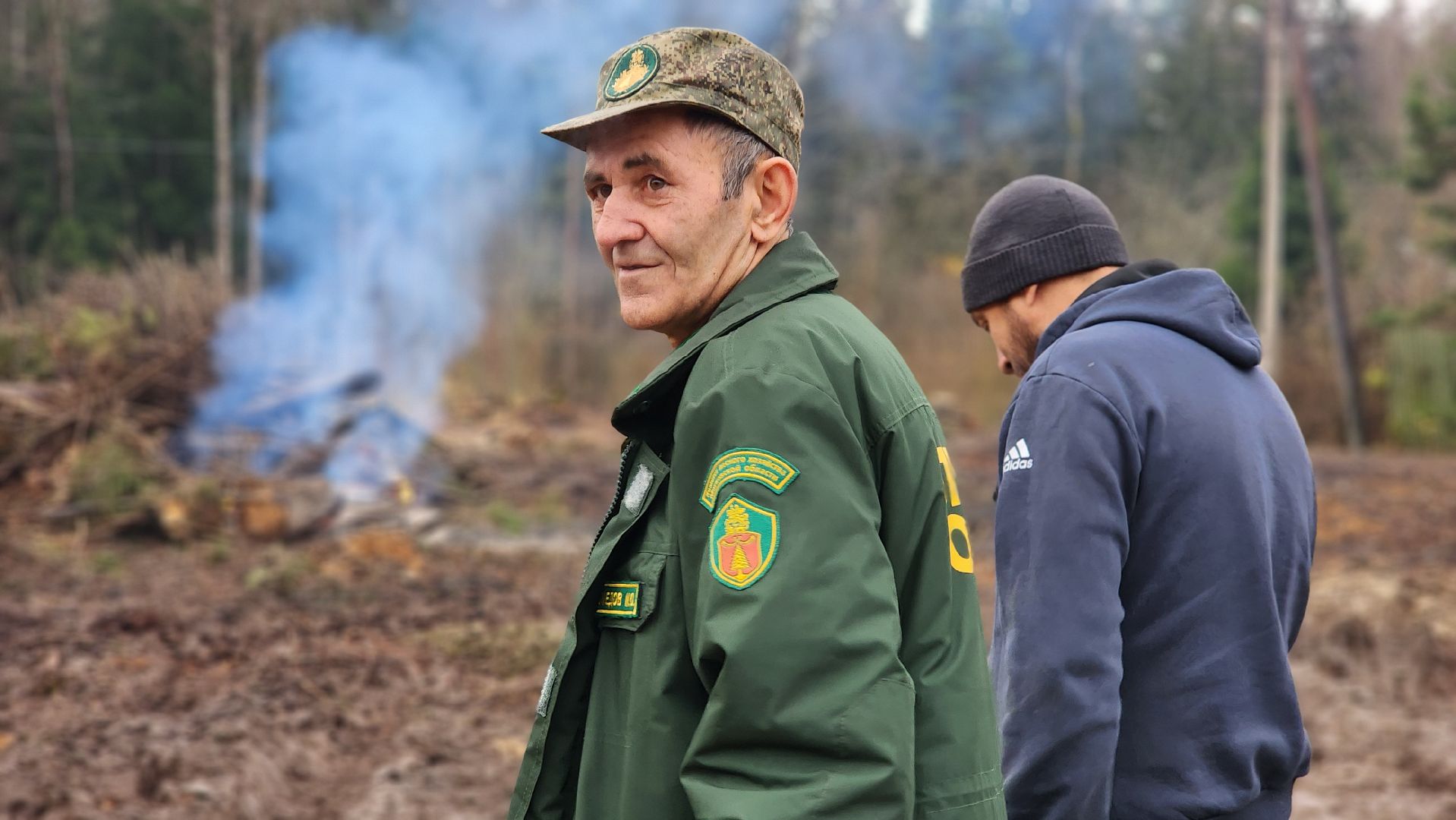 Руза , Лесничие, Экология , Санитарная вырубка леса,