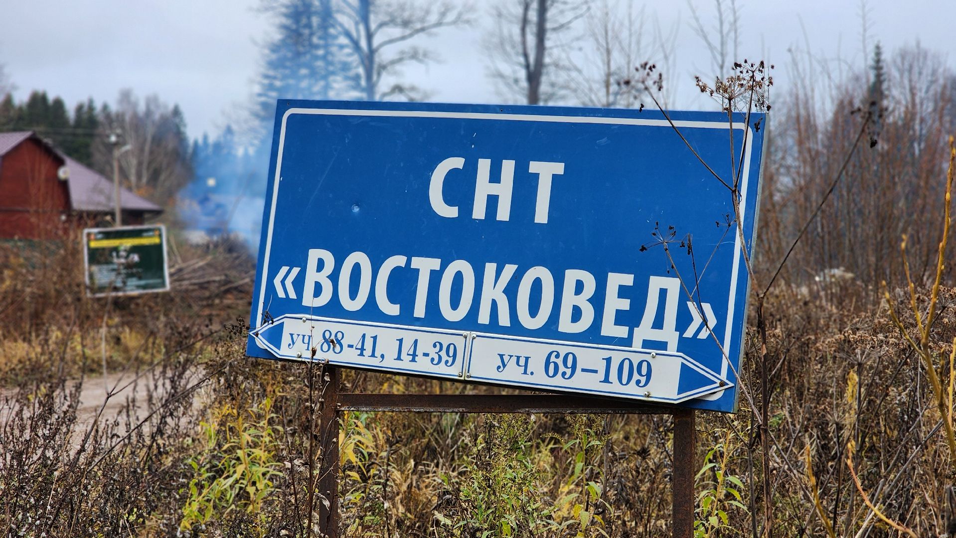 Руза , Лесничие, Экология , Санитарная вырубка леса,