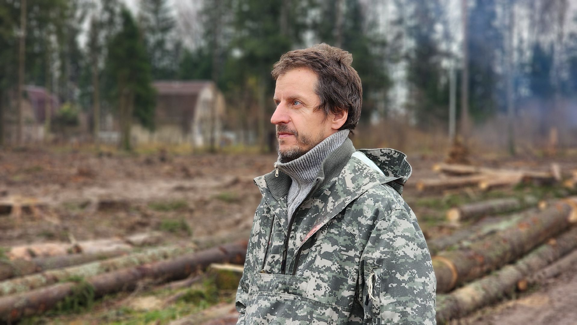 Руза , Лесничие, Экология , Санитарная вырубка леса,