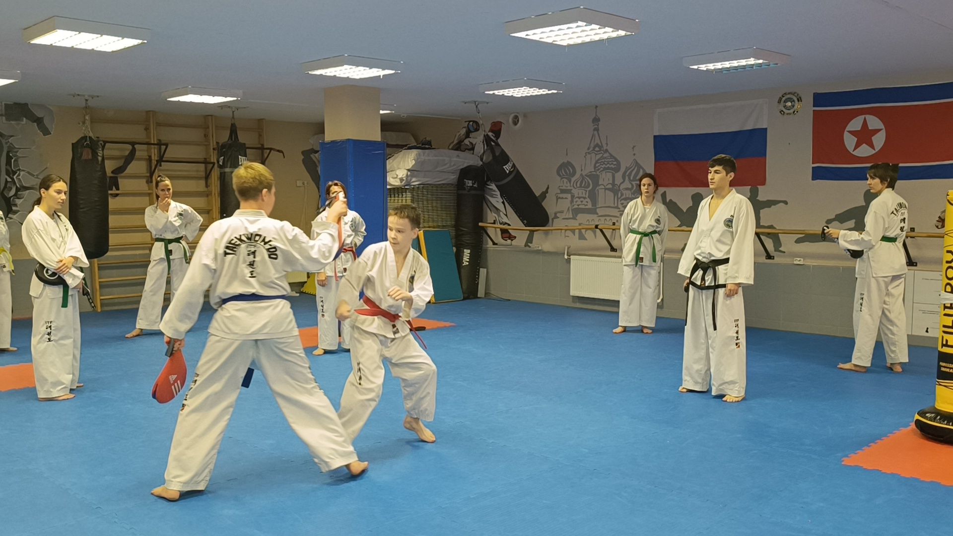 спорт, лобня, тхэквондо,