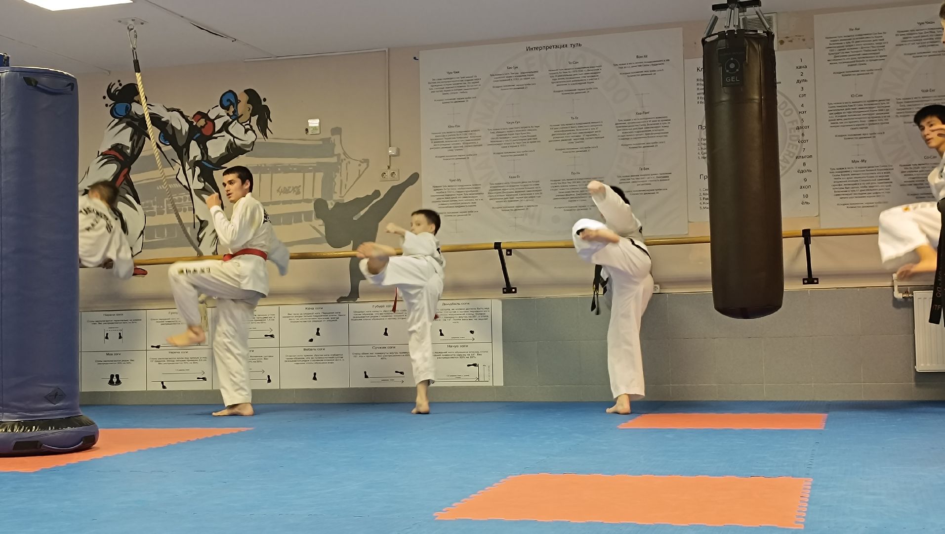 спорт, лобня, тхэквондо,