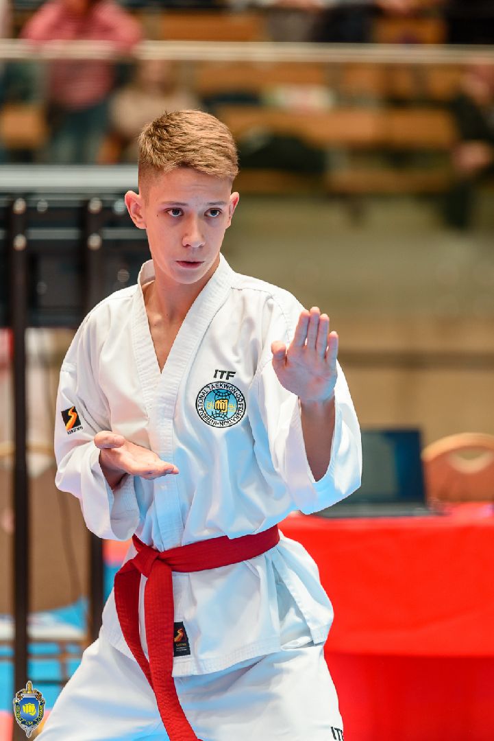 спорт, лобня, тхэквондо,