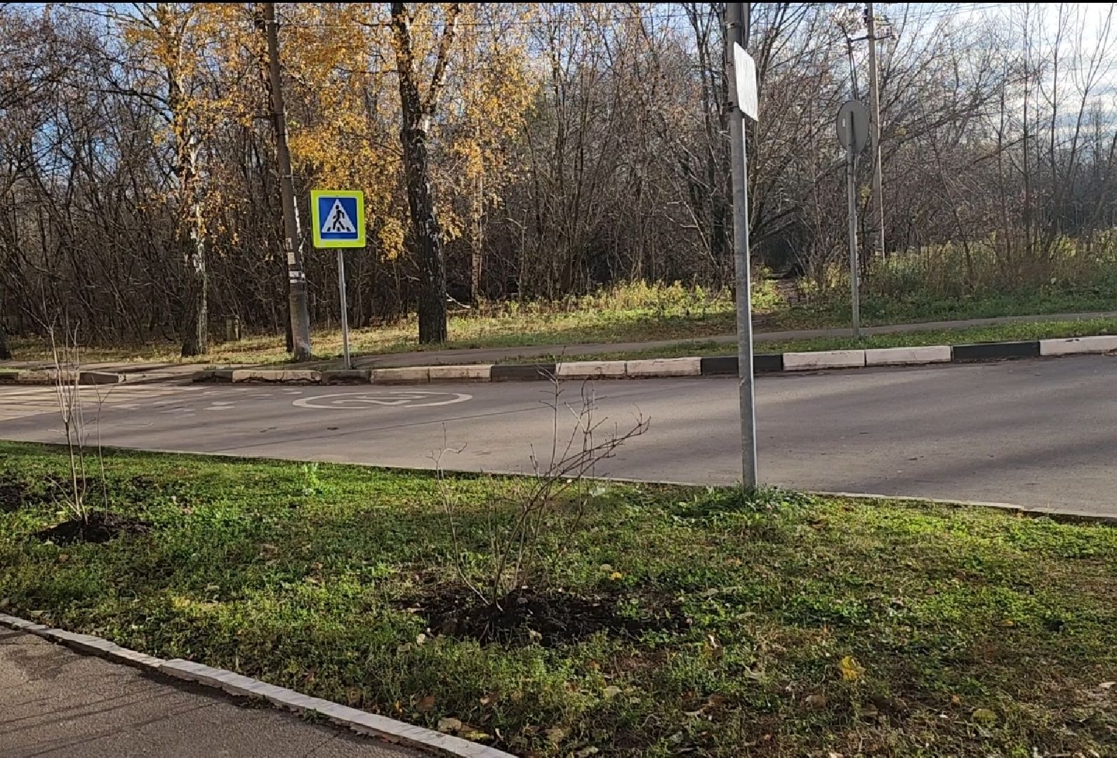 долгопрудный, хлебниково, госпитальная, ямочный ремонт, сирень, забор, председатель дома,