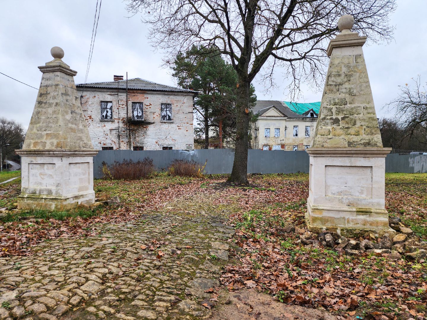 Подольск, Плещеево, Волонтеры, Литературная гостиная,