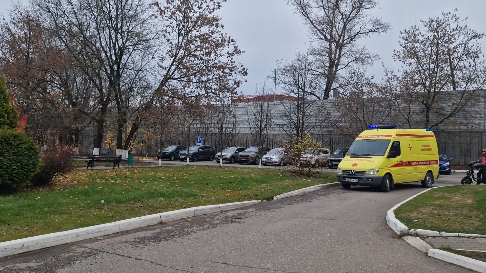 МОПЦ Балашиха,медицина, александр поволоцкий,