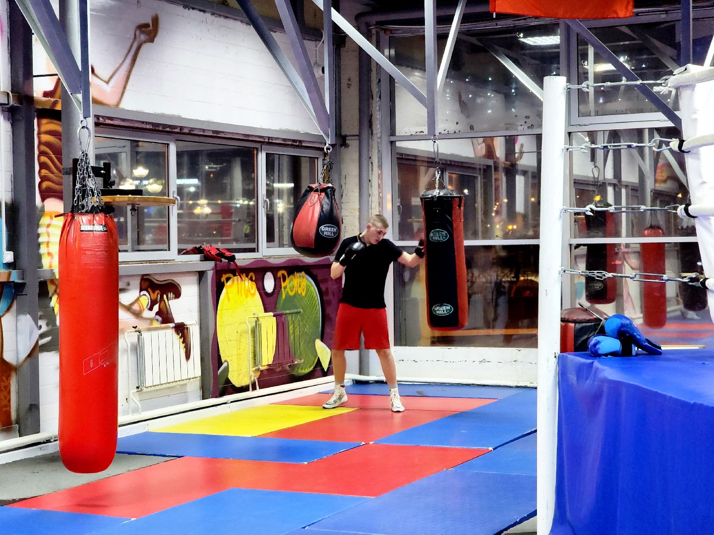 дубна, спорт, бокс,