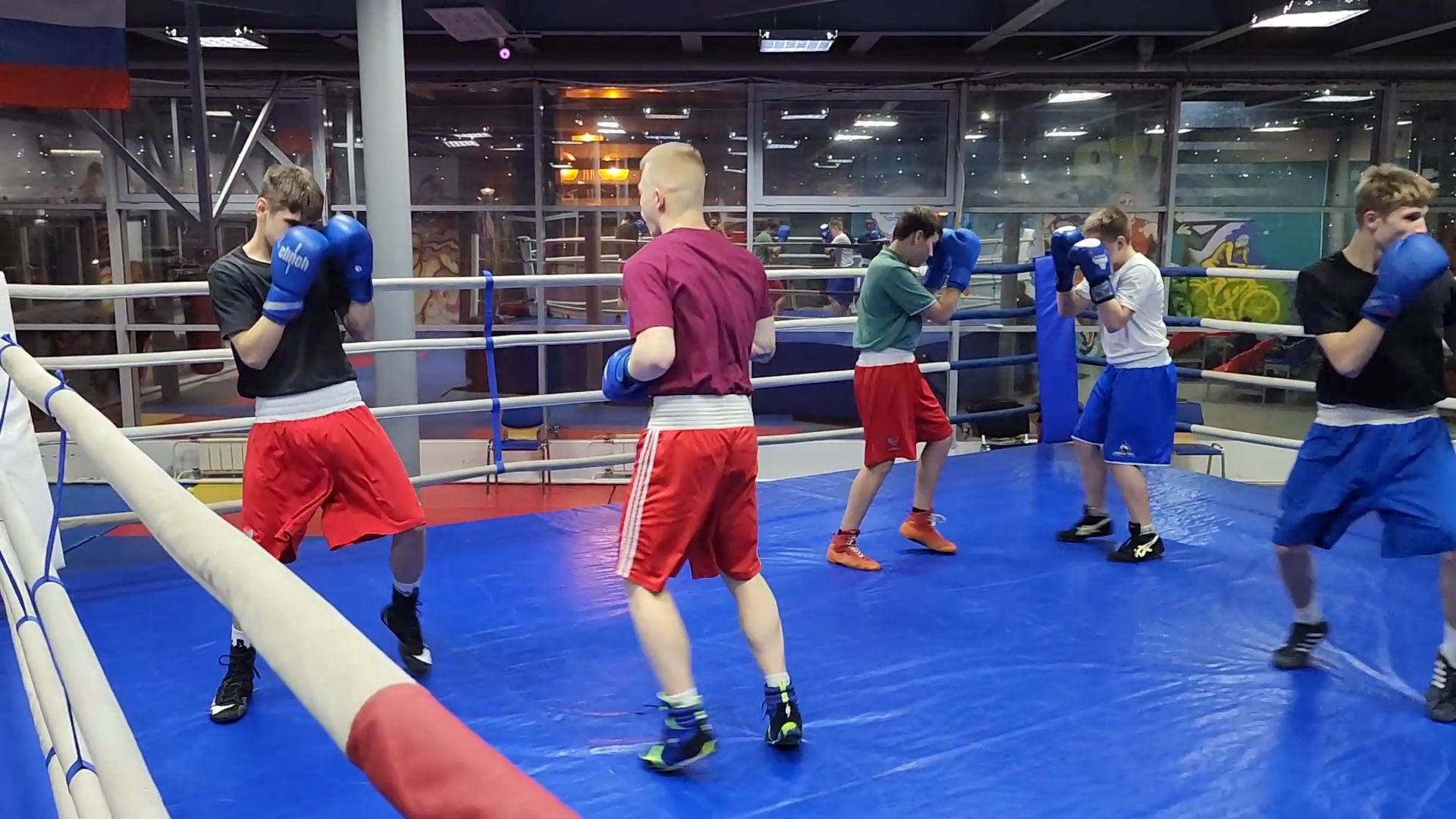 дубна, спорт, бокс,