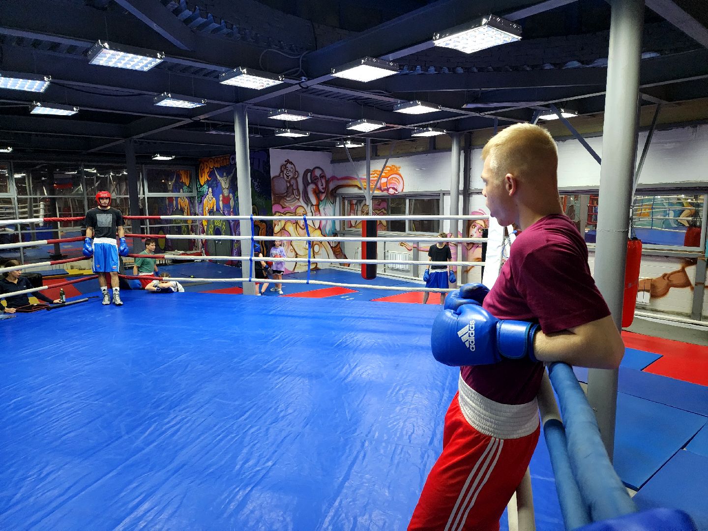 дубна, спорт, бокс,