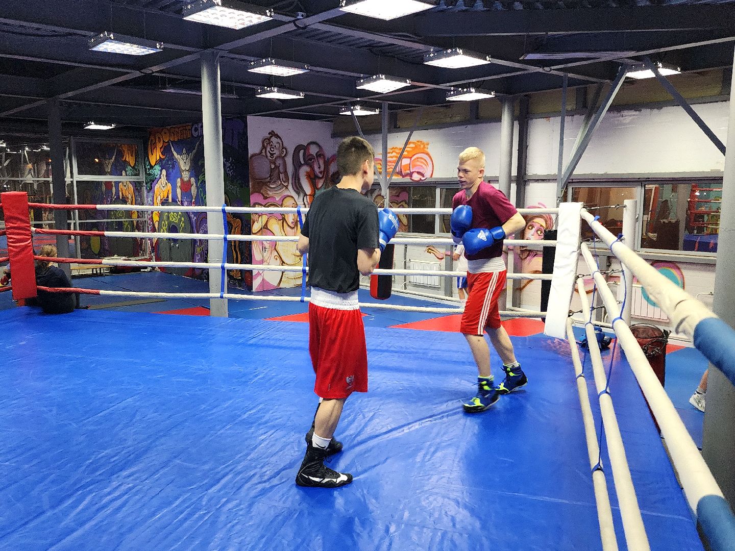 дубна, спорт, бокс,