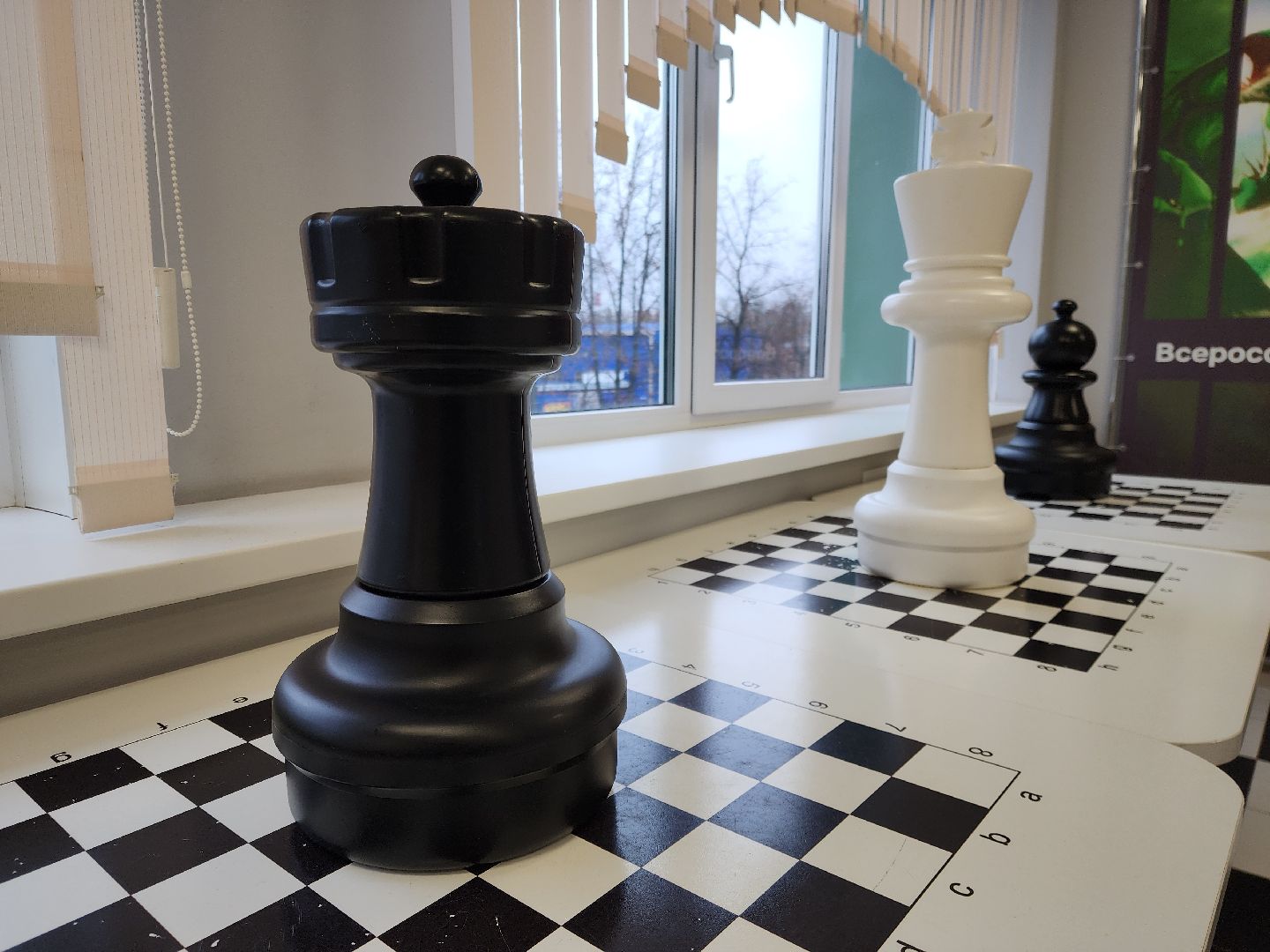 электросталь, жители, общество, дети, образование, олимпиада,