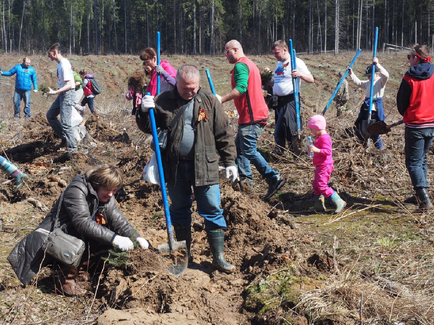 Сергиев Посад, Сергиево-Посадский городской округ, Экология, Лес Победы, Акция, Волонтеры, Озеленение