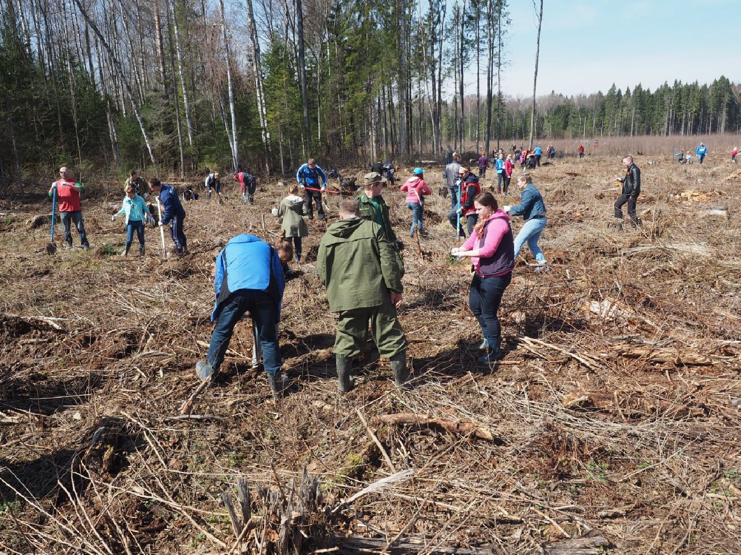 Сергиев Посад, Сергиево-Посадский городской округ, Экология, Лес Победы, Акция, Волонтеры, Озеленение