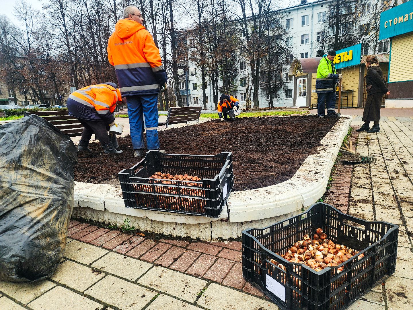 пущино, серпухов, цветники,