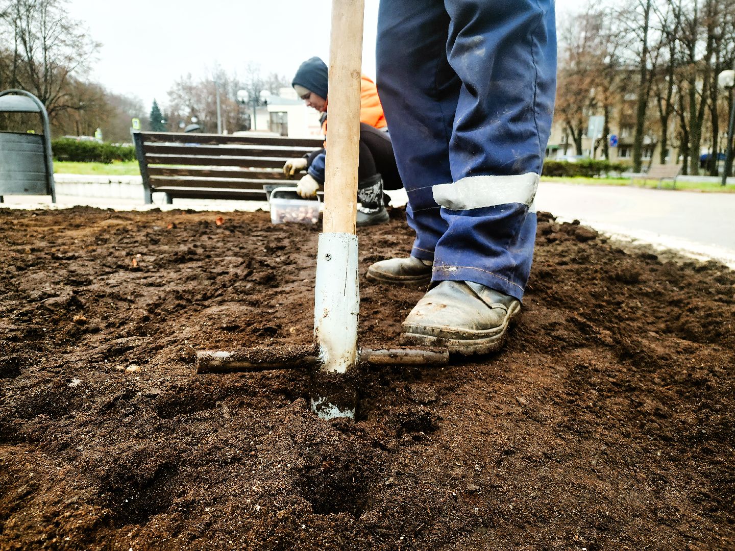 пущино, серпухов, цветники,