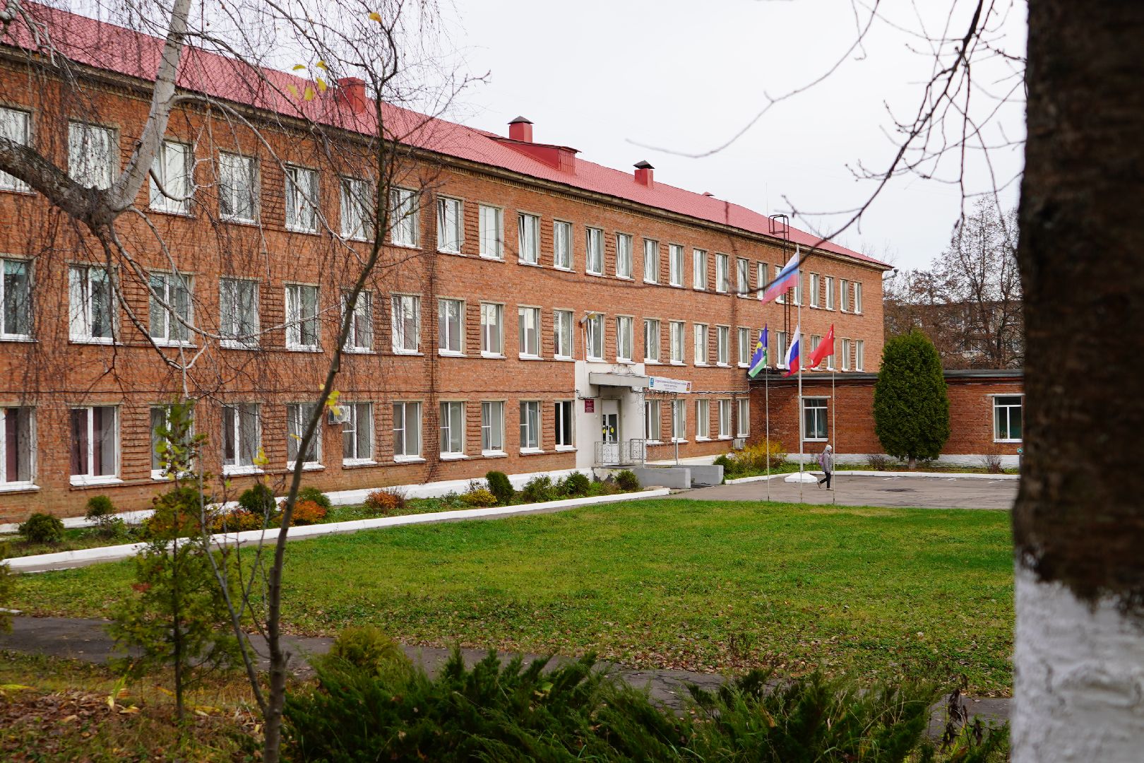 ступино, МОВИР, коррекционная школа-интернат, чеснок, огород,