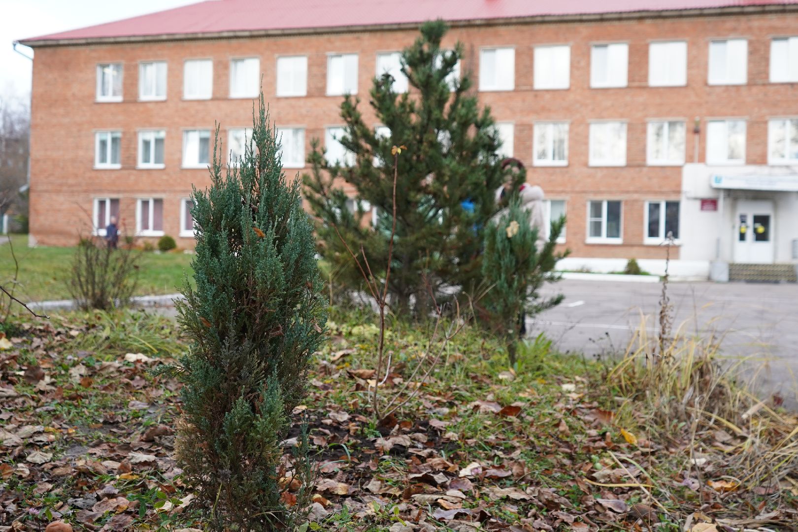 ступино, МОВИР, коррекционная школа-интернат, чеснок, огород,