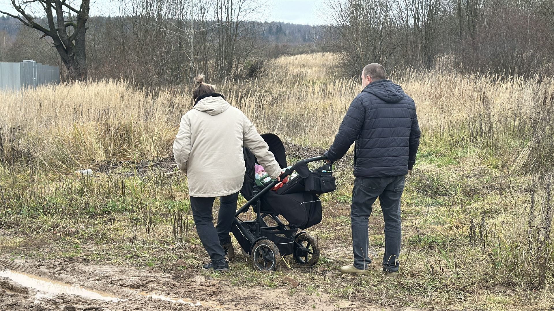 многодетные семьи, пушкинский городской округ, строительство  дорог, освещение, благоустройство,