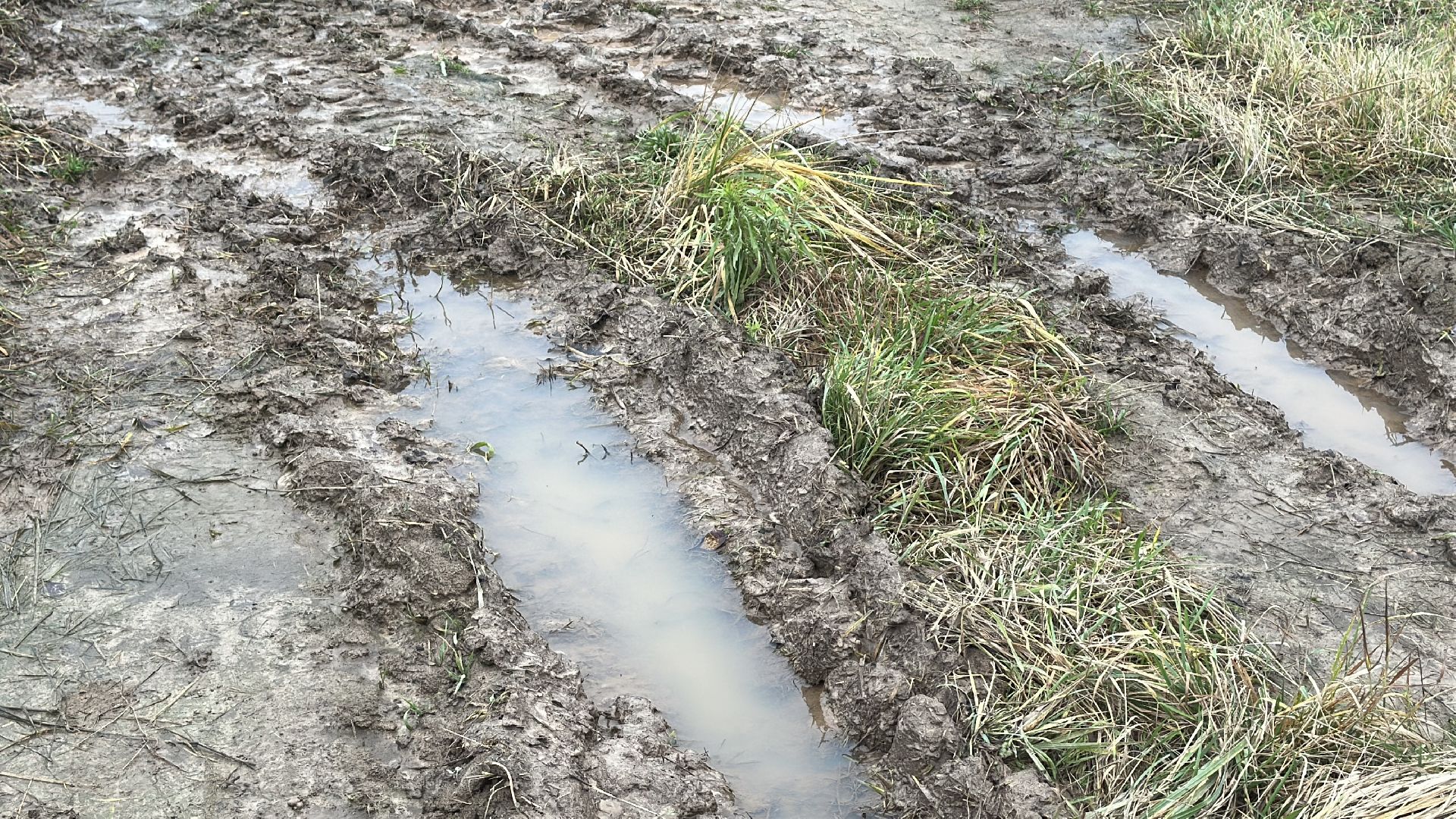 многодетные семьи, пушкинский городской округ, строительство  дорог, освещение, благоустройство,