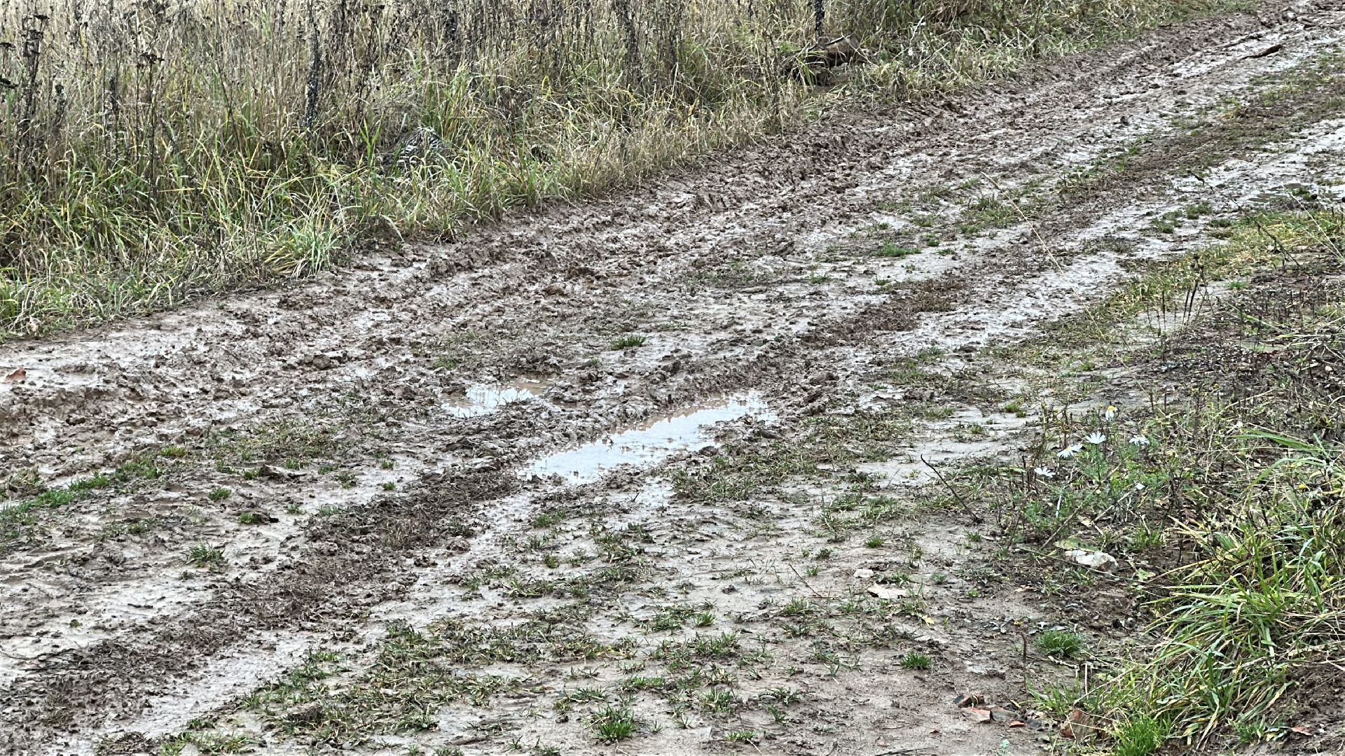 многодетные семьи, пушкинский городской округ, строительство  дорог, освещение, благоустройство,