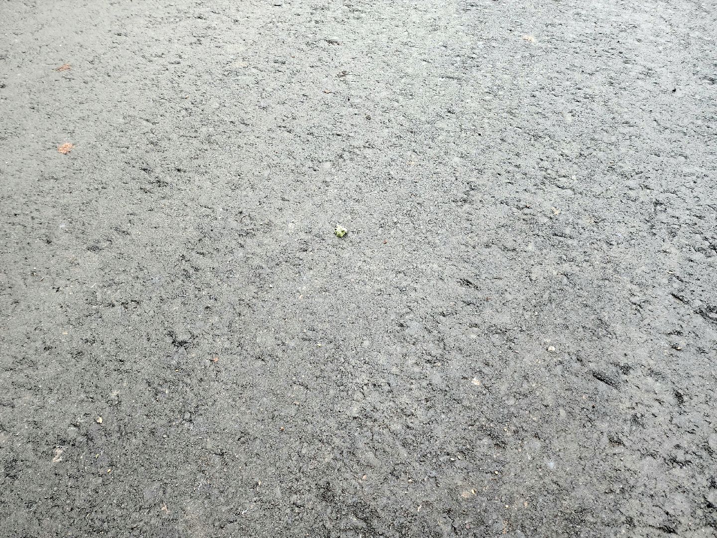 солнечногорск, благоустройство , асфальтирование , жители ,