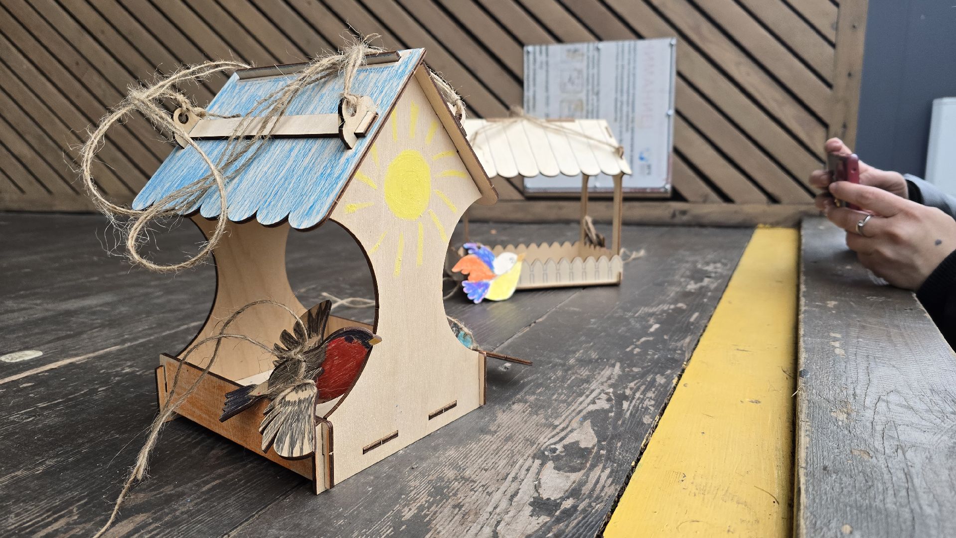 Коломна, кормушки для птиц, экологическая акция,синичкин день,