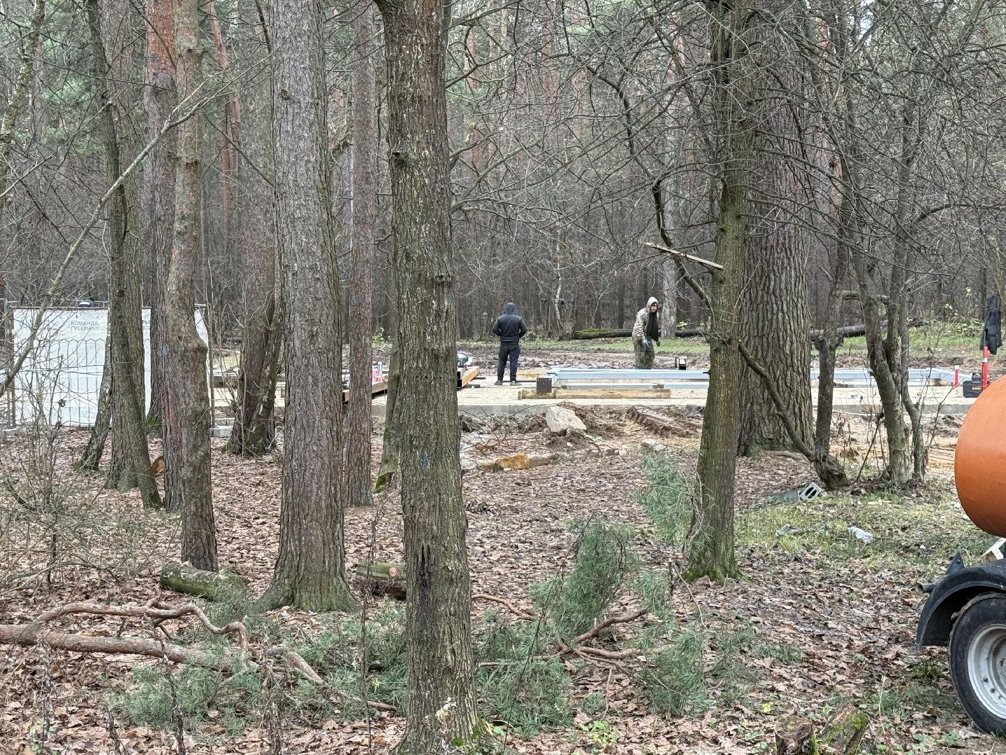 Люберцы, Парк, Лесная опушка, Благоустройство ,
