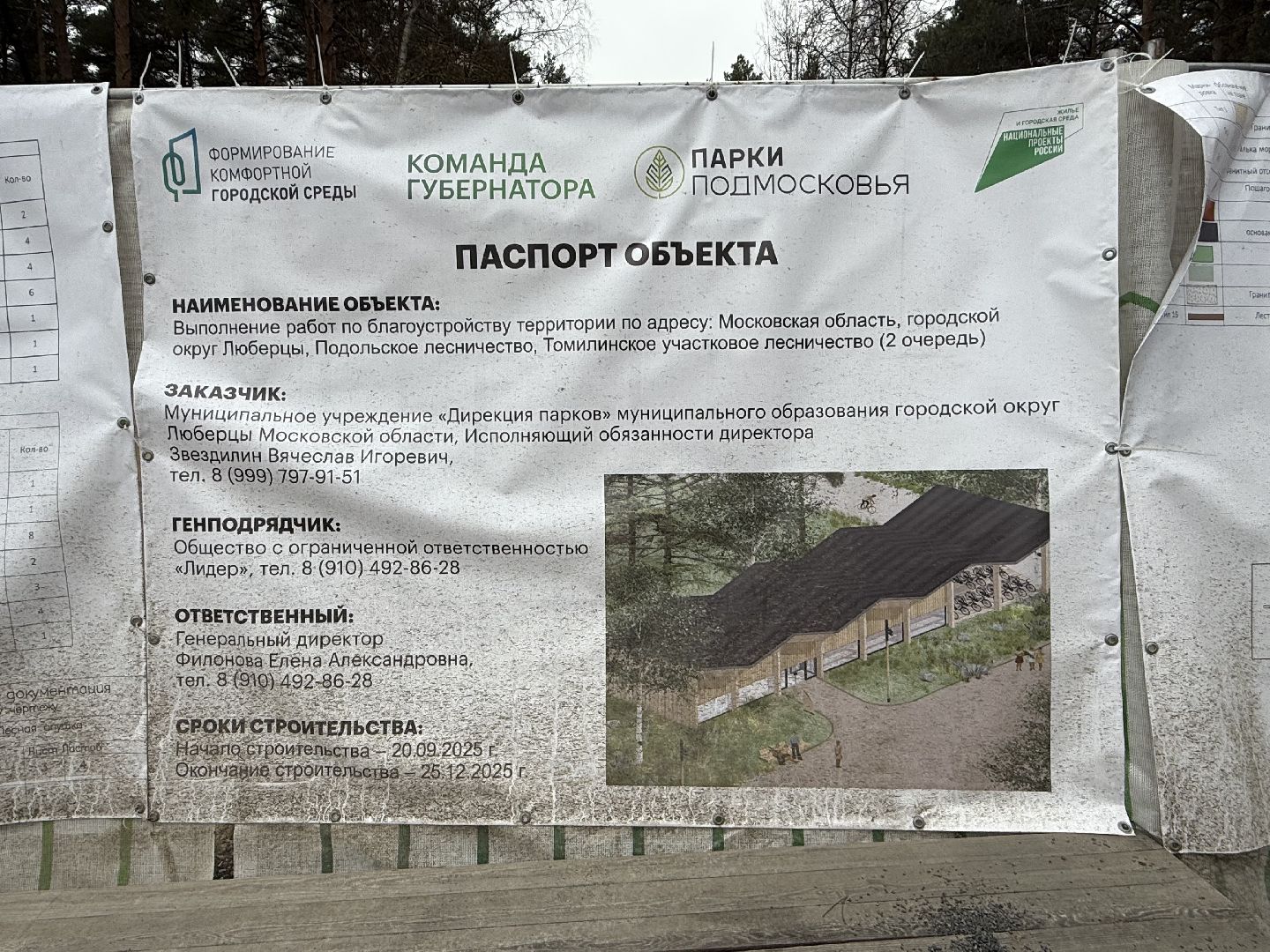 Люберцы, Парк, Лесная опушка, Благоустройство ,