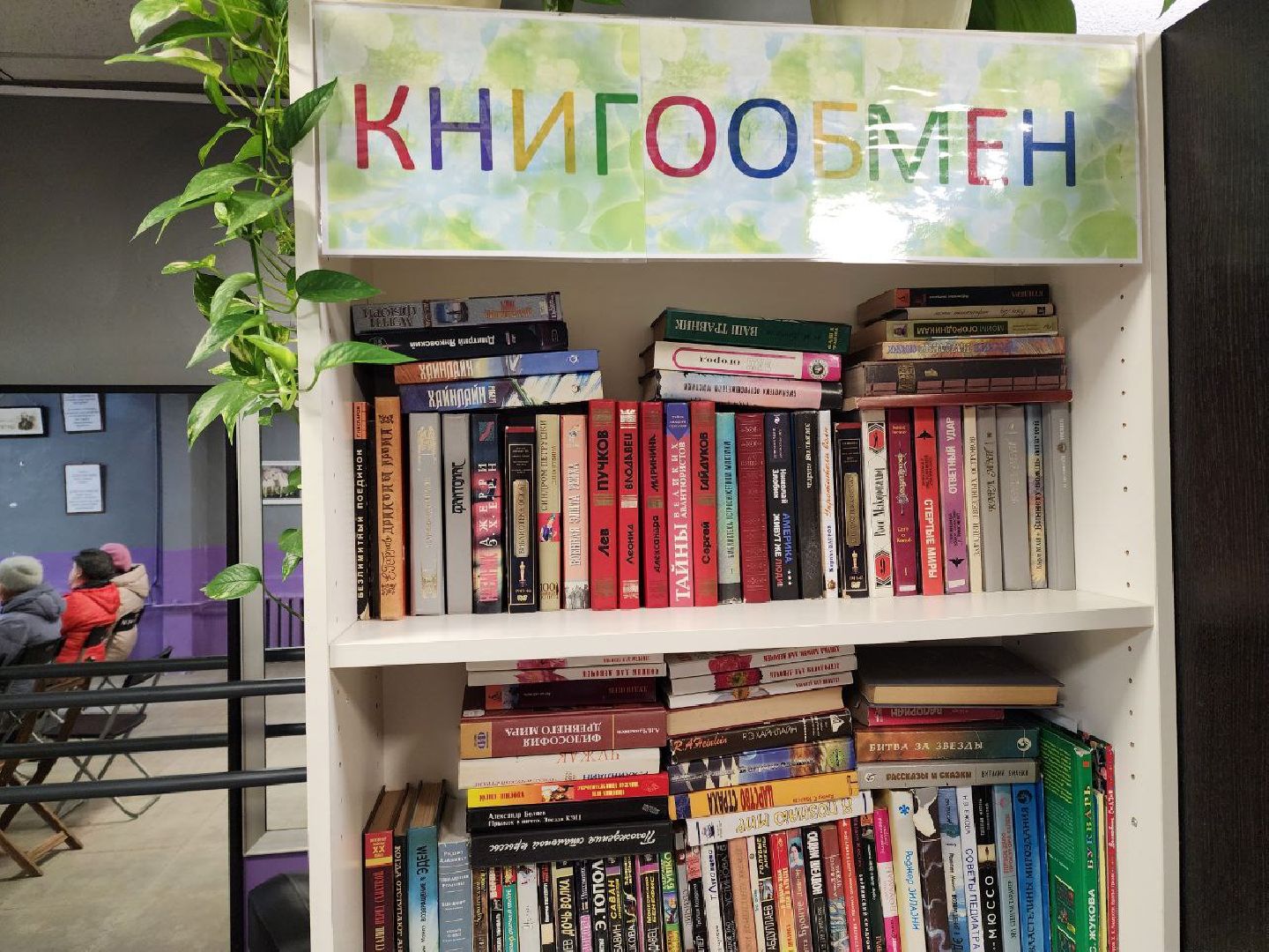 солнечногорск, культура, активное долголетие,