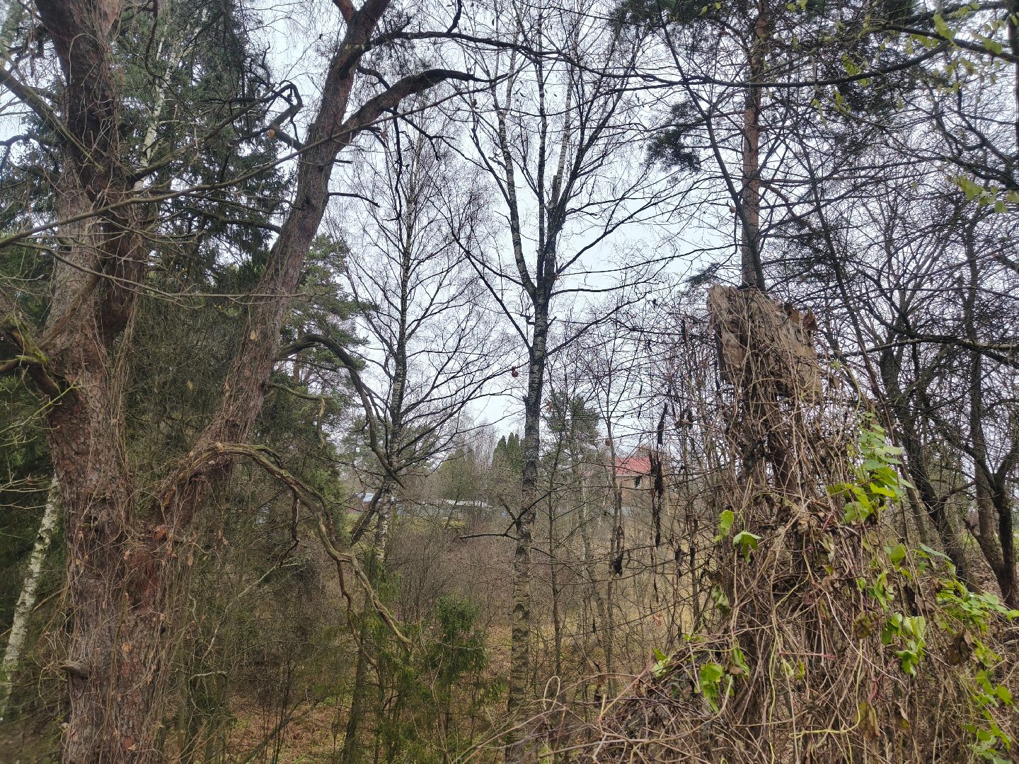 одинцовский городской округ, лучший староста подмосковья, конкурс, марьино,