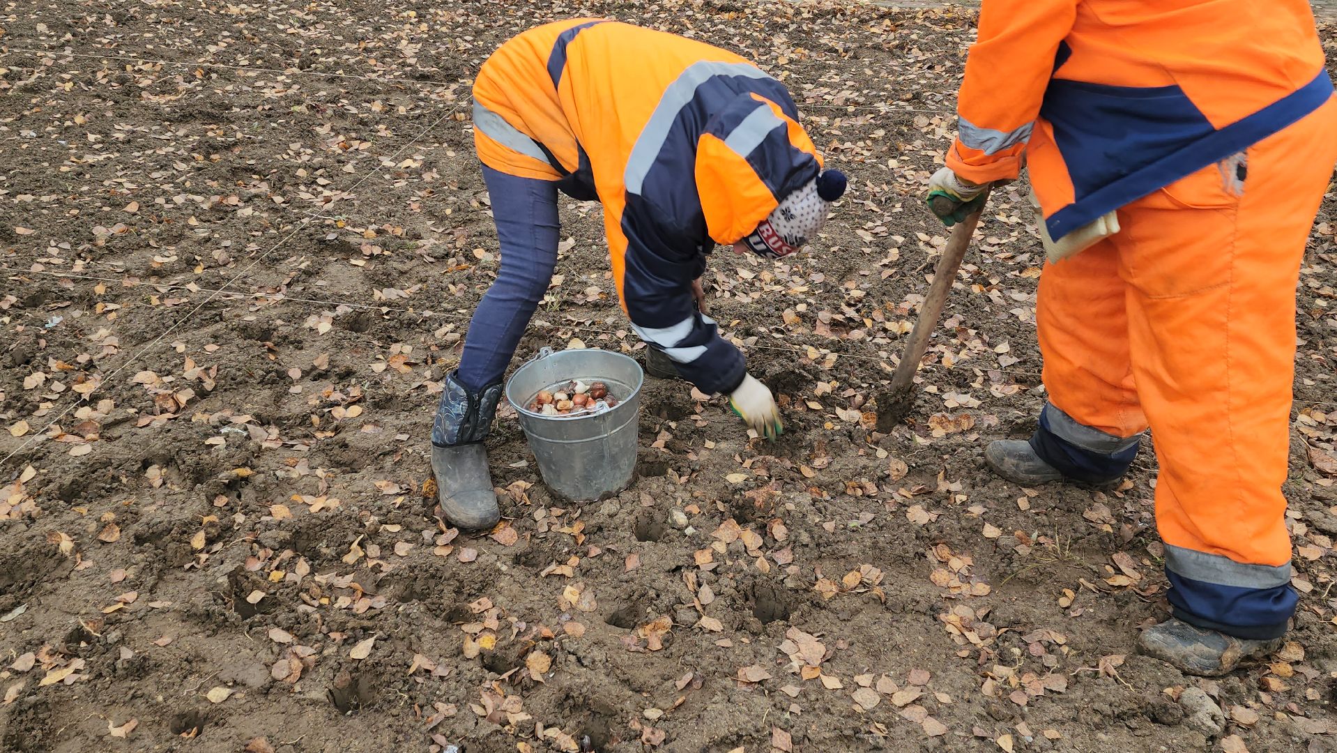серпухов, тюльпаны в серпухове, городские клумбы в серпухове, комбинат благоустройства, сенная площадь в серпухове,