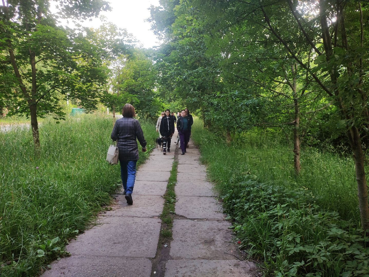 сергиев посад, сергиево-посадский городской округ, хотьково, улица михеенко, благоустройство, площадь хотьково, замена коллектора, озеленение,общественный совет,