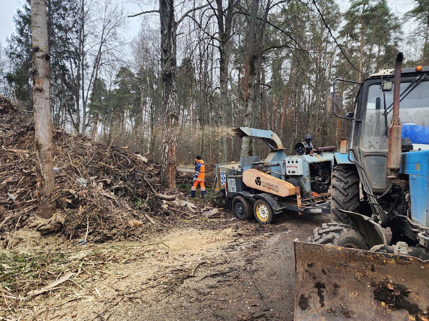 красноармейск, городской округ пушкинский, порубочные остатки, коммунальная служба,
