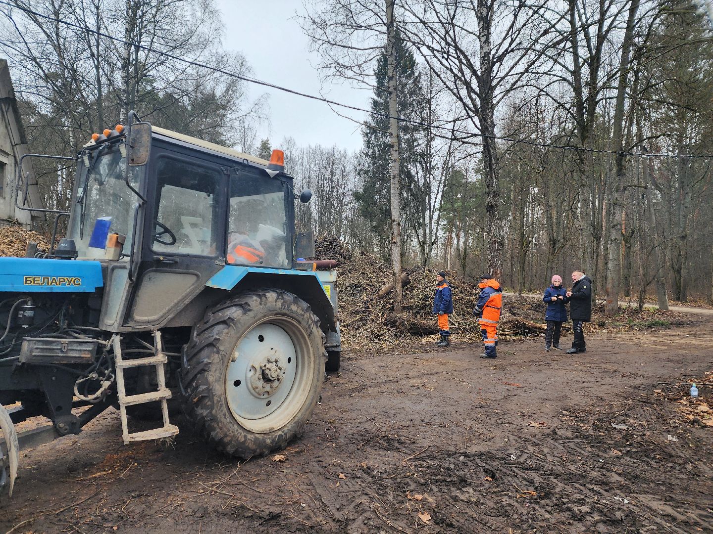 красноармейск, городской округ пушкинский, порубочные остатки, коммунальная служба,