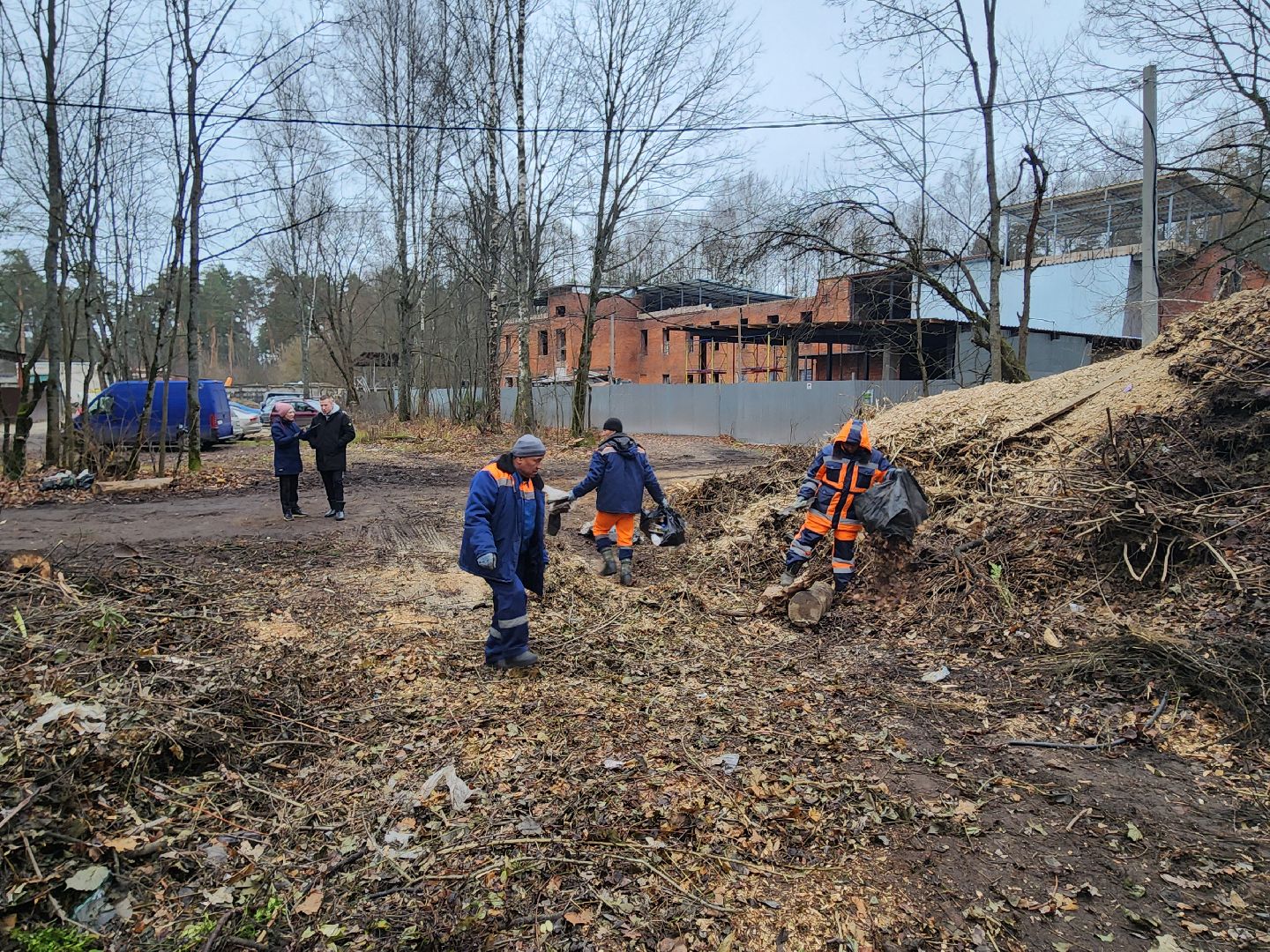 красноармейск, городской округ пушкинский, порубочные остатки, коммунальная служба,