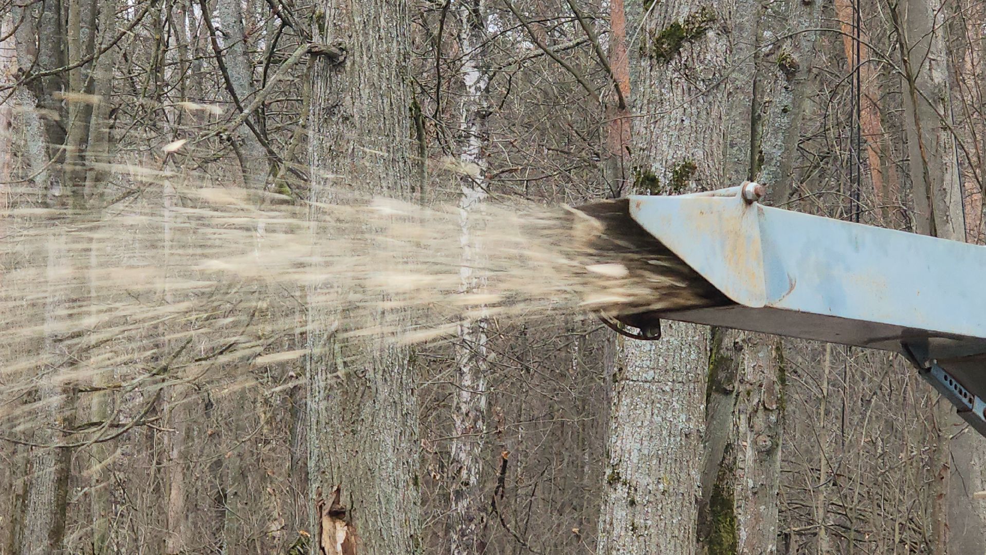 красноармейск, городской округ пушкинский, порубочные остатки, коммунальная служба,