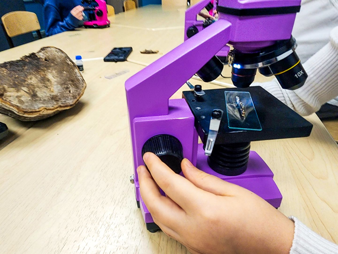 Пущино, образование , серпухов, допобразование,