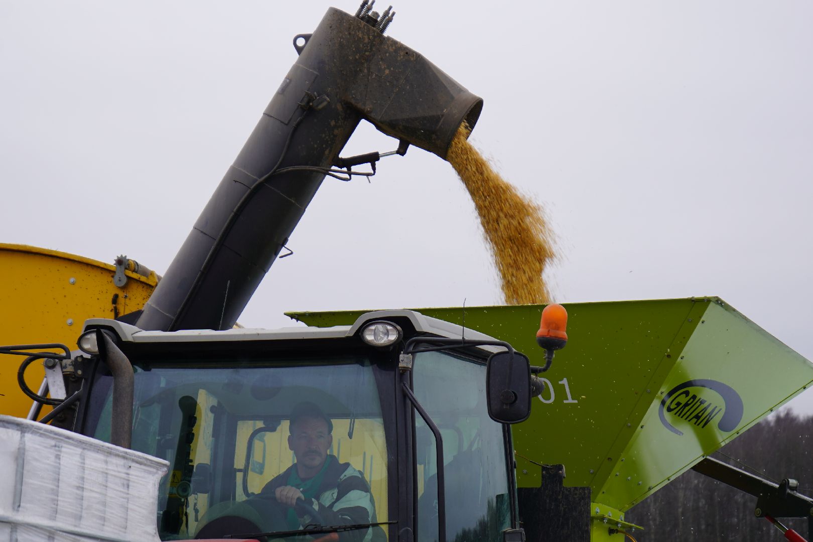 ступино, Ступинская Нива, ЭкоНива, кукуруза, сушка кукурузы,