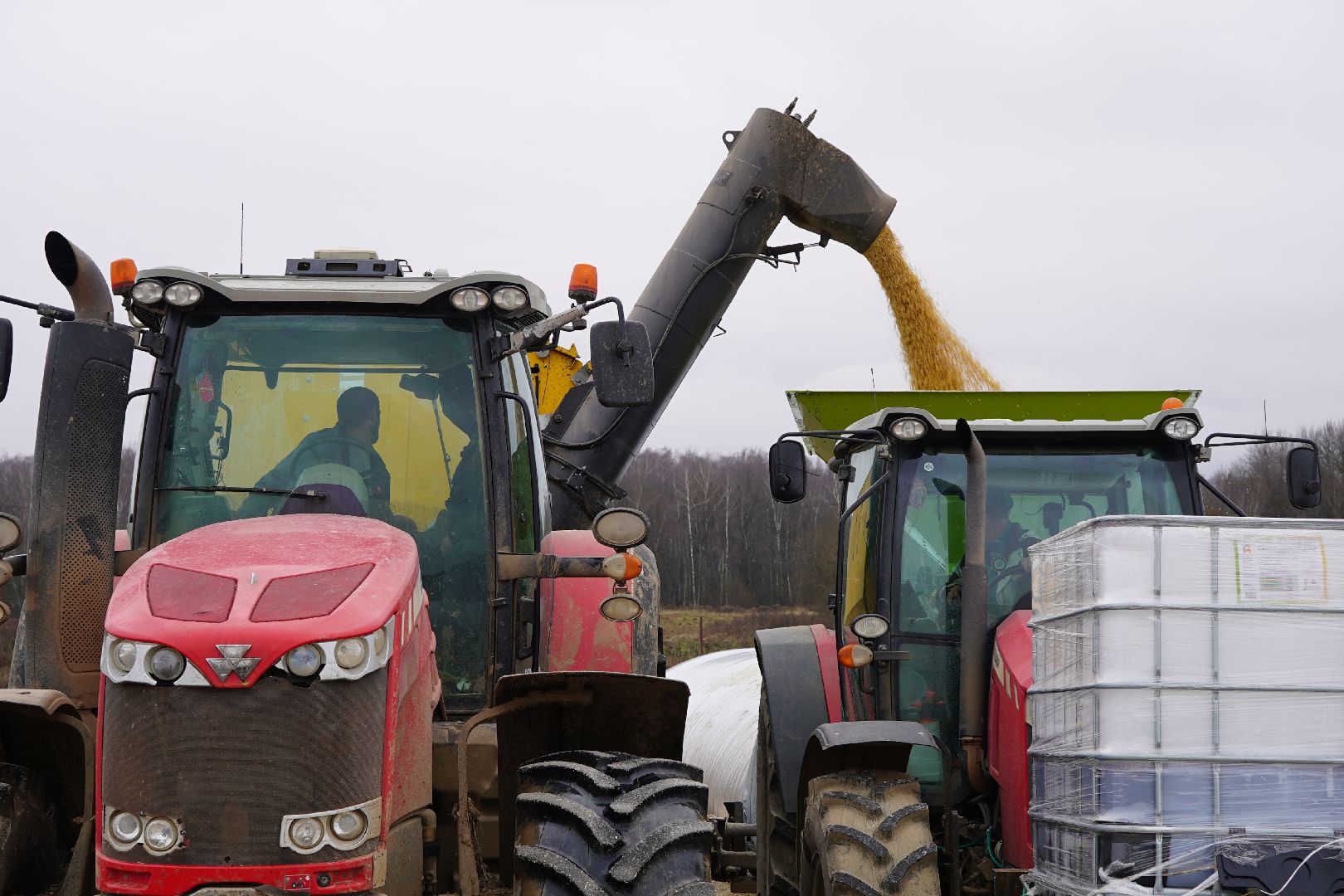 ступино, Ступинская Нива, ЭкоНива, кукуруза, сушка кукурузы,