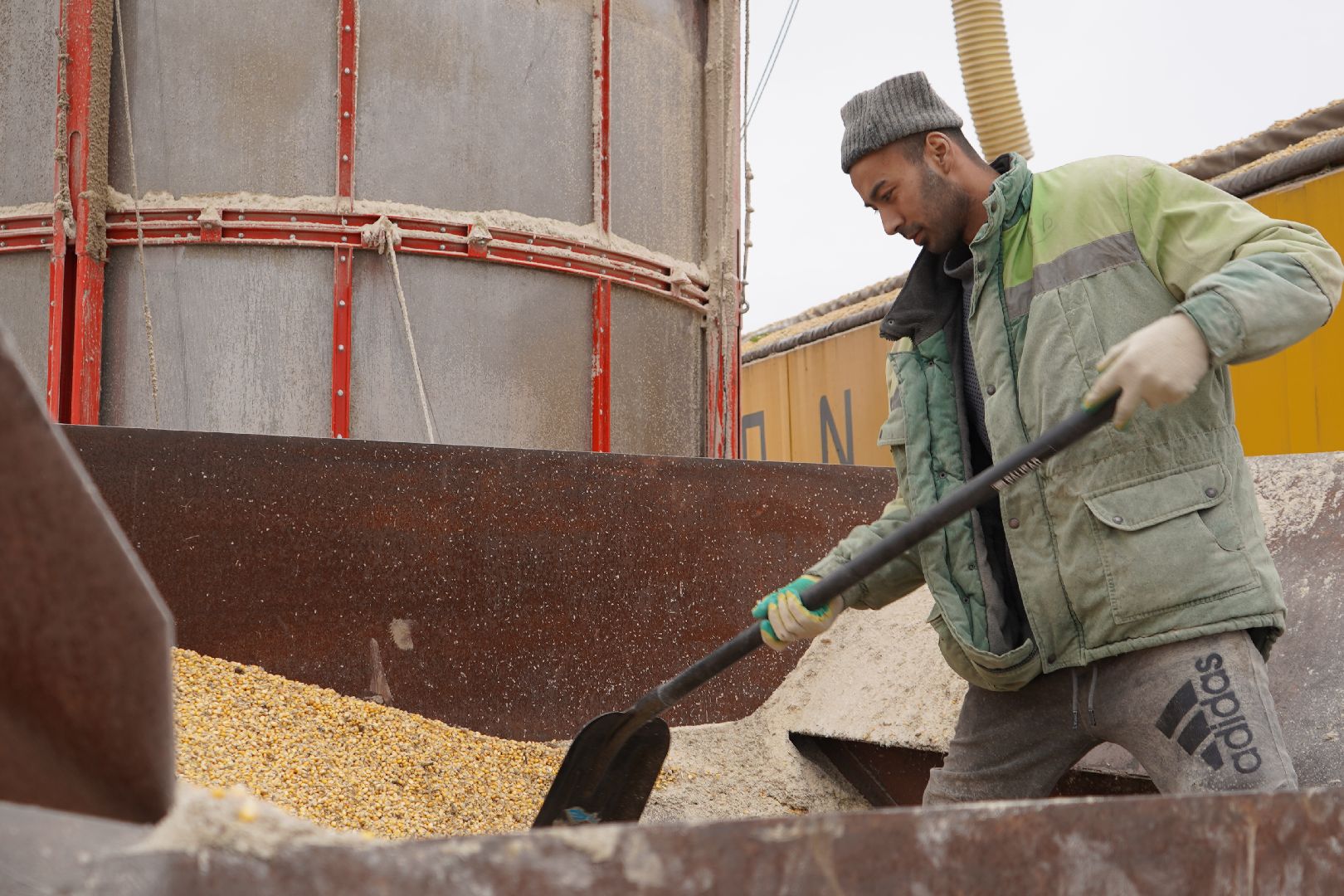 ступино, Ступинская Нива, ЭкоНива, кукуруза, сушка кукурузы,