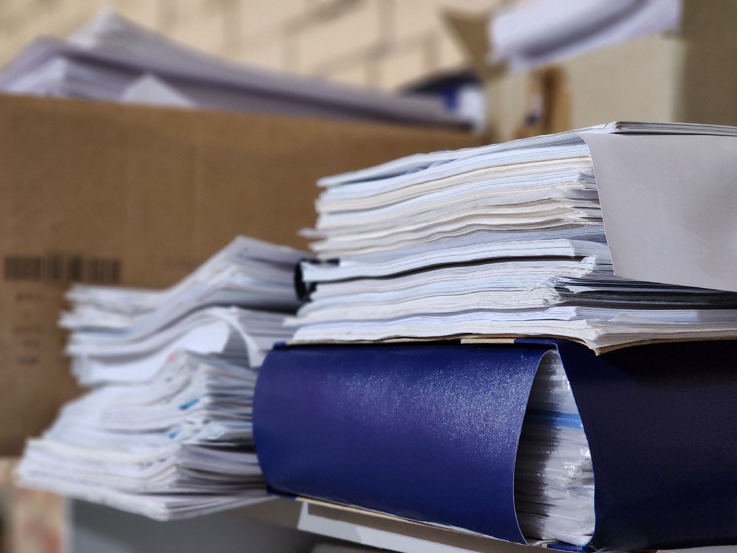 экологическая акция, сбор макулатуры, экология,ногинск, богородский городский округ,