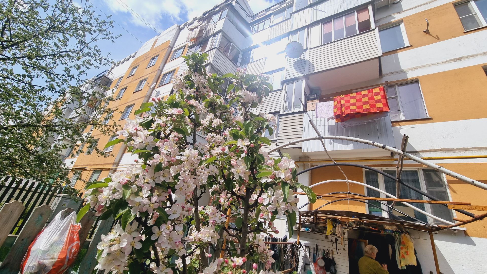 Подмосковье, Ивантеевка, благоустройство